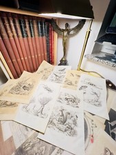 Antique Botanical Steel Engravings Set of 5 1838 Original Animals Birds Flora... picture