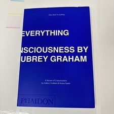 DRAKE TITLES RUIN EVERYTHING: A STREAM OF CONSCIOUSNESS *IN HAND MINT U.S. NEW picture