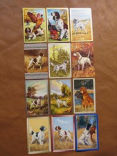 12 Hunting Dogs Playing Swap Cards picture