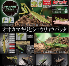 The Diversity of Life on Earth Advance Mantis & Grasshopper Complete Set of 4 picture