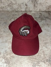47 brand MILB Altoona Curve Franchise Dark Red Baseball Cap Hat Fitted MEDIUM picture