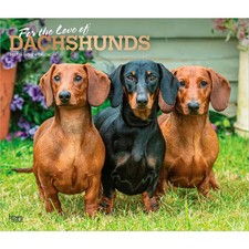 BrownTrout,  Dachshunds 2027 Deluxe Wall Calendar picture