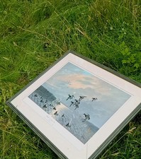 Les C. Kouba Signed & #'d VTG RARE 35X28