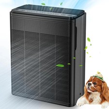 Air Purifiers for Home Large Room up to 2000 Ft² with Washable Filters, H13 HEP picture