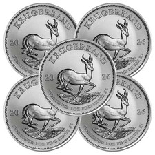 Lot of 5 - 2026 South Africa Silver Krugerrand 1 oz Brilliant Uncirculated picture