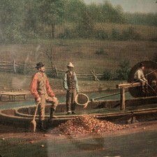1899's Amish Folks Apple Cider Scene Antique Litho Painting 46.5