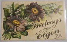 Greetings From Elgin , Illinois IL Antique Glitter Unused Postcard F7  picture