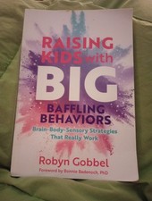 Raising Kids with Big, Baffling Behaviors  picture