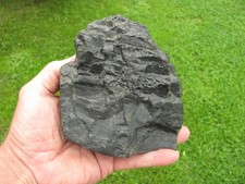Bituminous Coal Specimen, State Rock of  West Virginia, 1 pound 5.6 ounces picture