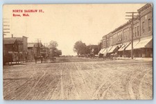 c1910's North Saginaw St. Byron Michigan MI Horse Carriage Antique Postcard picture