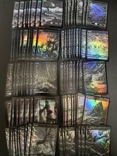 MTG Crimson Vow Eternal Night Basic Lands 100 FOIL Full Art  Magic ENGLISH picture