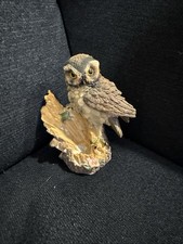 Owl And Tree 5