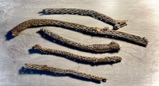 5 Piece Natural Cholla Wood Lot, Large Cactus Skeletons for Aquarium Shrimp Aqua picture