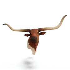 Texas Longhorn Bull Head Wall Mount Statue - Life Size Longhorn Steer Bust picture