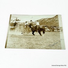 Vintage RPPC Rodeo Cowboy Bucking Horse Old West Sepia Postcard Divided Back picture