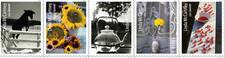 US Linda McCartney 2026 NDC Imperf Any Strip of 5 Pre-sale Avail. 10/20/26 picture
