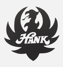Hank Williams Jr Rock Band Vinyl Decal Die Cut picture