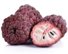 Rare Sugar Apple (Sweetsop)- Kampong Mauve variety 20 seeds picture
