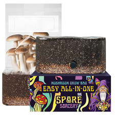 6lbs All-in-One Mushroom Grow Kit in a Bag | HUGE FLUSHES | Easy to Use picture