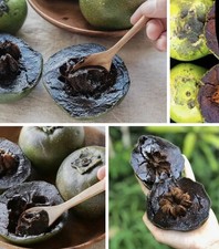 Giant Black Sapote 20+ Seedss (Diospyros nigra) Chocolate Sapote picture