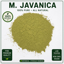Javanica Green Leaf Powder | Fresh Bulk Botanical 125g to 20kg picture