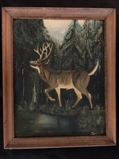 Signed TAYLOR (?) WHITE TAIL DEER BUCK 8-POINTER PORTRAIT PAINTING picture