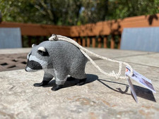 Jimothy the Raccoon picture