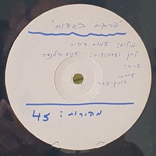 עירית דותן-פאר* - פרגים באדום =/ על הרגבים - 12