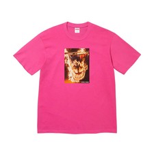 Supreme x Spitfire Flag Tee in Fuchsia [M] picture