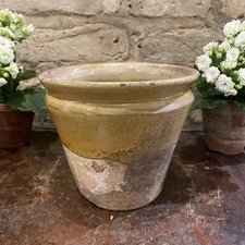 Exceeding Rare Antique French Medium Confit Pot 19th Century From Provence  picture
