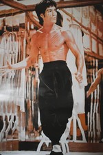 Bruce Lee x : 22
