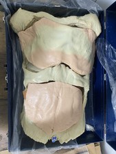 Life Form Nasco Human Torso Realistic Model Anatomy LF825 Anatomical Organs picture
