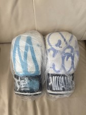 Slawn Minutemen Boxing Gloves Set (Blue Variant, art Basel Edition) Painting picture