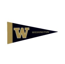 Washington Huskies Mini Pennant 4”x9