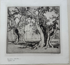 Alfred Hutty Signed Etching Burnham Beeches #1 England 1926 Great Beech Trees picture