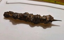 Archaeopteryx Toe Claw Fossil  picture