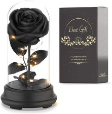 Deluxsa Forever Preserved Black Rose Birthday Gifts for Women,Eternal picture