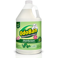 OdoBan Disinfectant Concentrate and Odor Eliminator, 1 Gallon, Original Eucalypt picture