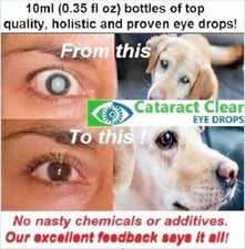 N-Acetyl-Carnosine Eye Drops 2% AND 4.2% – Natural Eye Care Solution 10ml x2 picture