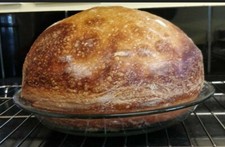 ALASKAN SOURDOUGH STARTER yeast VERY ACTIVE AND DEEP SOUR NEW BATCH A picture