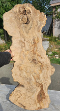 Live Edge Ink Line Spalted Maple Wood Burl Slab picture