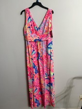 lily pulitzer dress picture
