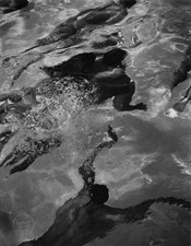 VTG Bruce Weber Print Swimmers Miami Beach Photogravure Art Photo 1986 Mat 13x16 picture