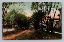 Antique New York Postcard SAUGERTIES Lafayette Street 1912 picture