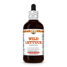 Wild Lettuce (Lactuca Virosa) Dried Herb Liquid Herbal Extract picture