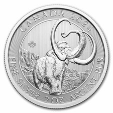 2024 RCM 2 oz Silver Ice Age of Canada Woolly Mammoth BU picture
