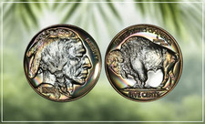 MIRROR FINISH Indian Head / Buffalo Nickel - Circulated Vintage Coin - Full Date picture