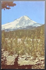 1941 Mt Hood Oregon Postcard Union Oil Co Natural Color Scenes of the West #64 picture