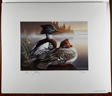1992 Michigan Duck Stamp Print Heiner Hertling MNH Stamp Folio #62/680 picture