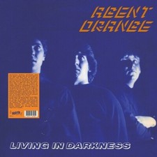 Living in Darkness by Agent Orange (Record, 2022) picture